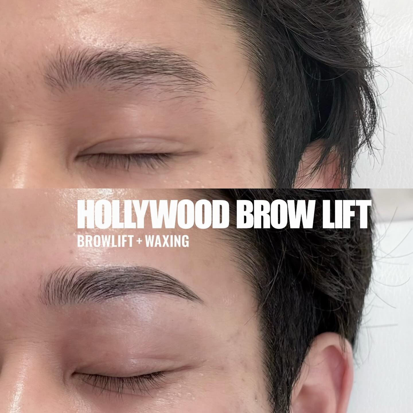 【メンズHOLLY WOOD BROW LIFT】